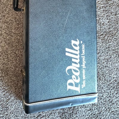 Pedulla   Hardshell case for  electric bass guitar for sale