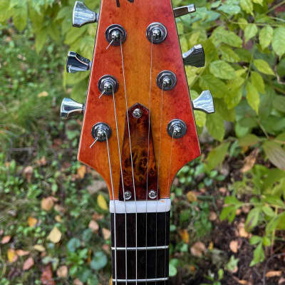 NAH Guitars Telstar 2 Custom 2021 Poplar Burl Yellow - Red Burst image 11