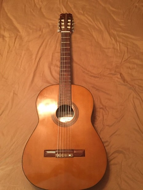 Horugel shop acoustic guitar