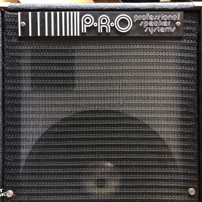 Immagine Professional Speaker Systems PRO Vintage 12" PA Main Speaker Cabinet - 2