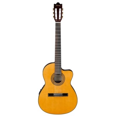 Ibanez GA5TCE Classical Electro Acous tic Guitar, Amber   - 4/4 classical guitar for sale