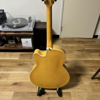 Fender D'Aquisto Elite with Ebony Fretboard 1991 - Natural image 10