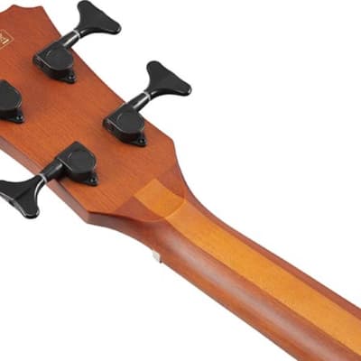 Ibanez AEGB24FEMHS Acoustic-Electric 4-String Bass, Sapele Top, Mahogany Sunburst image 5