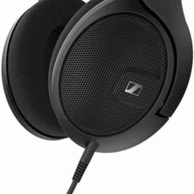 Hd 590 best sale