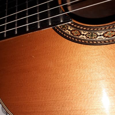 D.W.Stevens 1A  Classical Guitar With Cutaway image 5