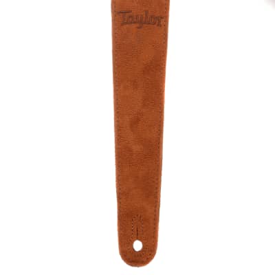 Taylor Guitar Strap Honey Embroidered Suede 2.5" image 2