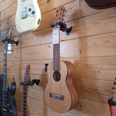 ギター ギター UMA Amazon.com: Dean Guitars 6 String ZX Floyd