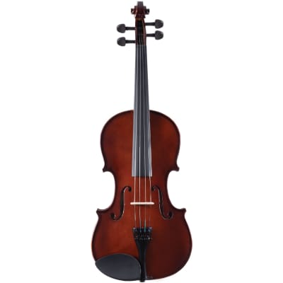 Palatino VN-350 Campus Hand-Carved Violin Outfit with Case and Bow, 1/2 Size image 2