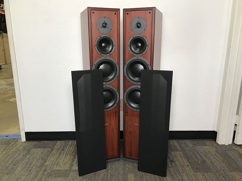 Dynaudio 3.3 store