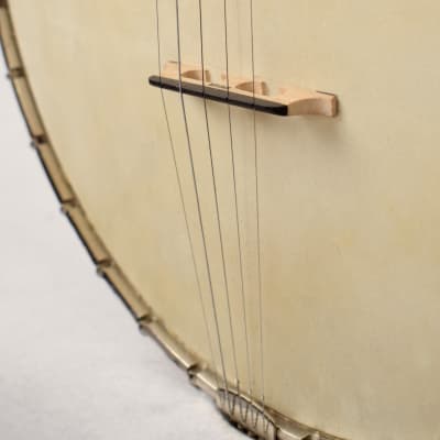 Vega Whyte Laydie 5-String Conversion Banjo 1926 image 6