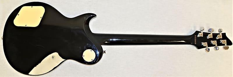 Aria Pro Ⅱ　Original Custom Body Aria Pro II Standard 