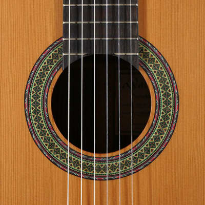 Walden SupraNatura Classical Guitar, Acoustic Nylon String 2010s image 2