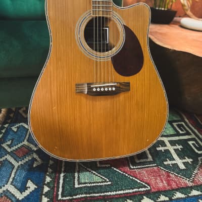 Freshman Apollo 2D CED Electro Acoustic in Natural for sale