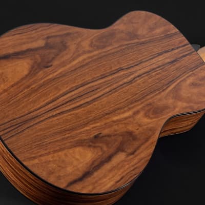 Washburn Bella Tono Elegante S24S Acoustic Studio Size Guitar, Natural Gloss image 4