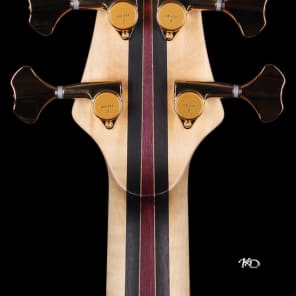 KD "Picasso" 5 string Electric Bass Unique Boutique Handmade image 10