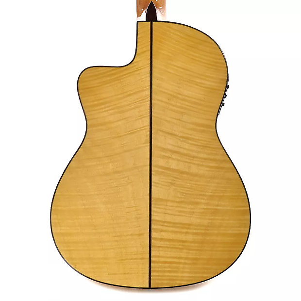 Cordoba Fusion 14 Cutaway Nylon String Acoustic-Electric Guitar image 4