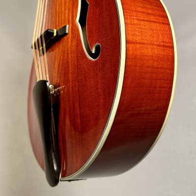 Eastman MDC805 Mandocello - Classic Red image 12