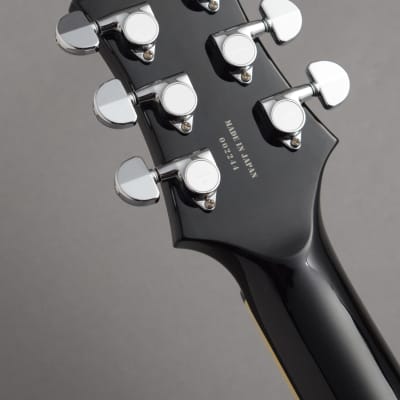 Fernandes Ravelle - What To Know & Where To Buy | Equipboard