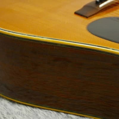 Vintage 1970's made Japan vintage Acoustic Guitar Westone W-40 Jacaranda body Made in Japan image 15