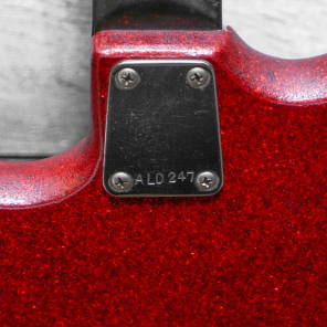 Norma 4-Pickup Electric Guitar Red Sparkle 1960's w/GigBag VINTAGE image 14