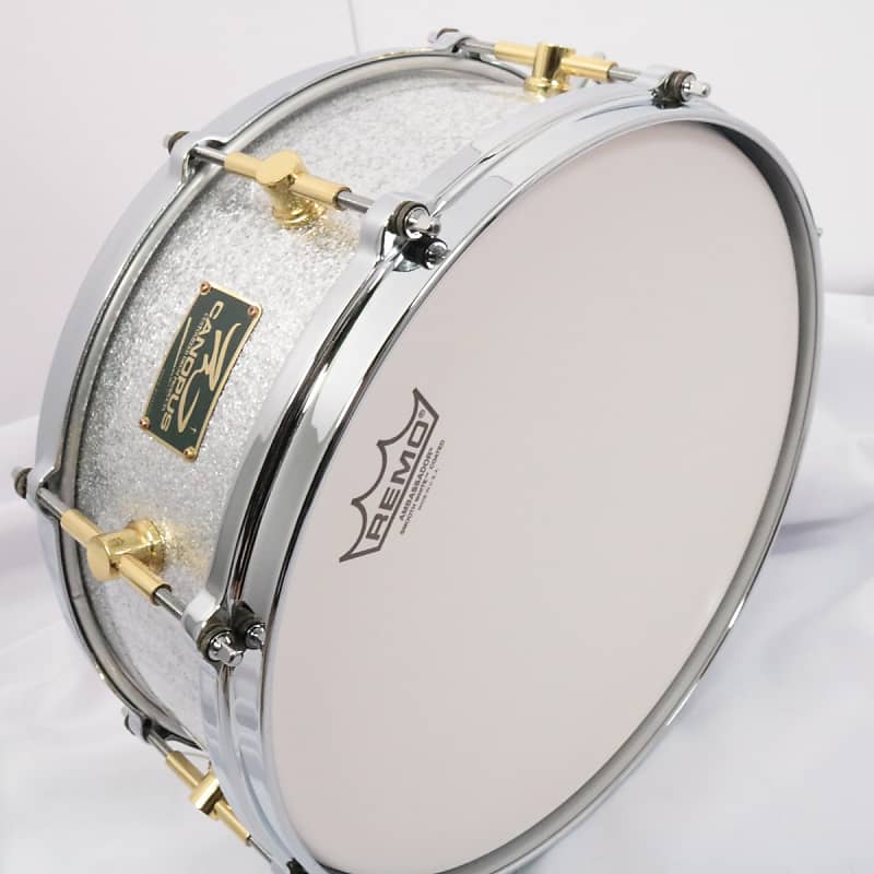 Mel Taylor Snare Drum 5.5x14-