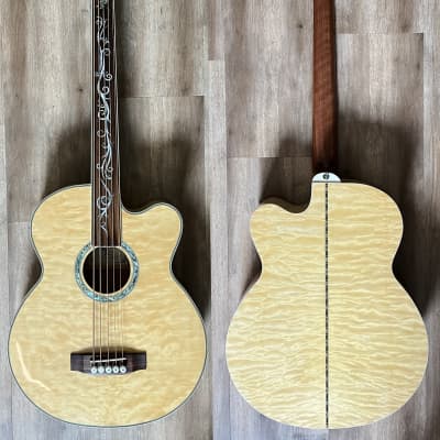Michael Kelly Acoustic Bass Guitar - DragonflyFLN5 - 5 String Fretless - Hard Case - Lowest Price image 1