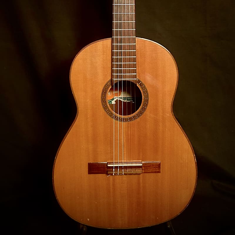 Giannini AWN 70 Classical Reverb