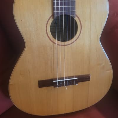 Hofner Carmencita T-3 Classical Guitar-Made in Spain 1960s image 2