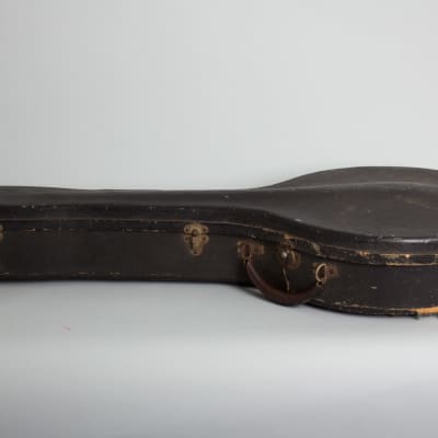 Vega  Little Wonder Special Tenor Banjo (1931), ser. #96029, original black hard shell case. image 11