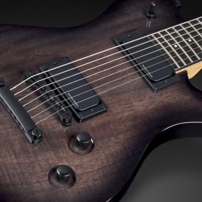 Framus D-Series Panthera 7-String - Nirvana Black Transparent High Polish |  Reverb