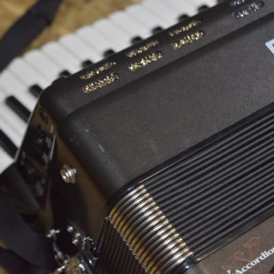 Roland FR-3s Grey V-Accordion 120-Bass 37-Key Digital Piano Roland FR-3s Grey V-Accordion 120-Bass 37-Key Digital Piano