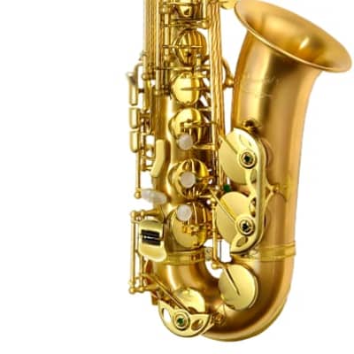 YANAGISAWA T-4 TENOR サックス Yanagisawa T-WO20 Elite Tenor Sax – United States