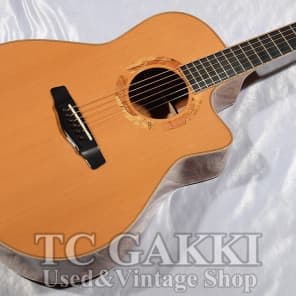 Yokoyama Guitars AR CM image 6