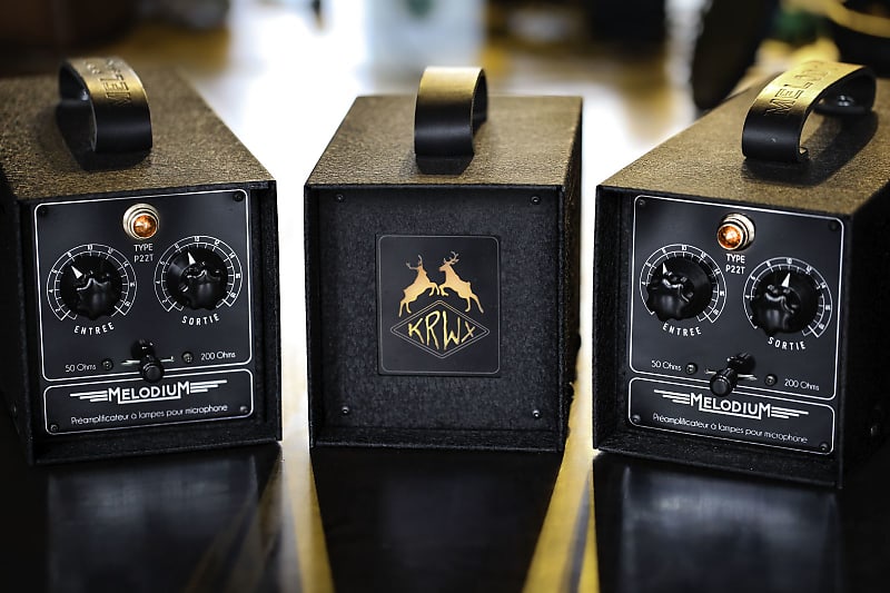 Melodium P22T tube mic preamp Reverb