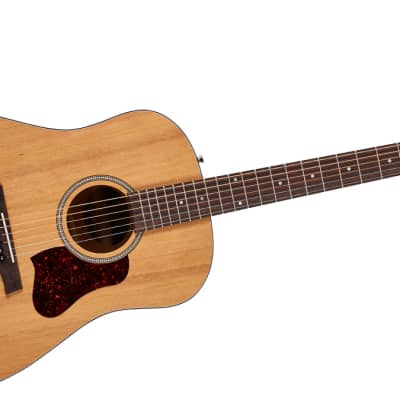 Seagull S6+ Spruce Dreadnought Acoustic Guitar Natural | Reverb Canada