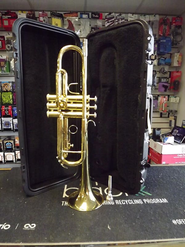 Bach TR300 Trumpet Outfit F12920 image 1