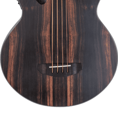 Michael Kelly Dragonfly 4 Port Electric Bass w/ Java Ebony Finish MKD4SJESFS for sale