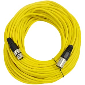 Seismic Audio SAXLX-100 XLR Male to XLR Female Mic Cable - 100'