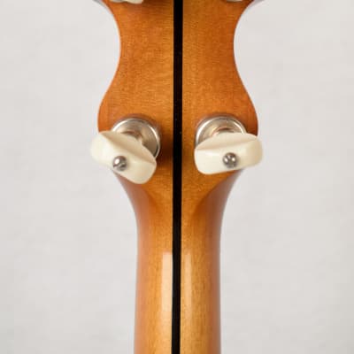 Vega Whyte Laydie 5-String Conversion Banjo 1926 image 11