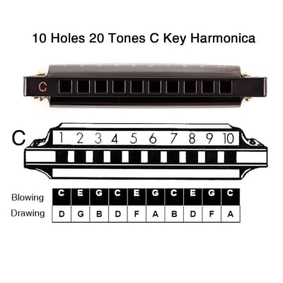 Blues Harmonica Mouth Organ 10 Hole C Key With Case, Diatonic Harmonica For Professional Player, Beginner, Students Gifts, Adult, Friends, Gift Blue image 6