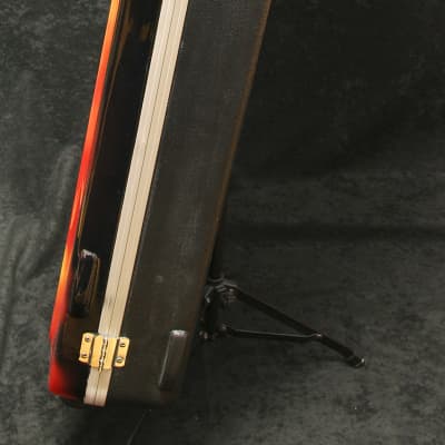 Guitar Case Gator Handmade Custom Aerographed Hot Rod image 5