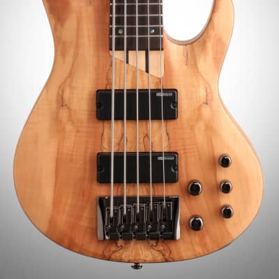 ESP LTD B205SM Electric Bass, 5-String, Natural Satin image 3