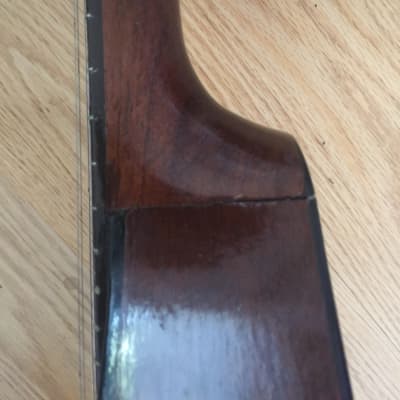 Vintage Regal Mandolin  1920’s ? Brown image 4