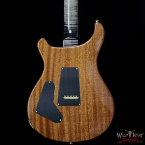 PRS Wood Library Artist Package Custom 24 Fatback Flame Top Neck African Blackwood Board Charcoal image 7