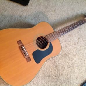 Washburn D10N 1990 Natural Reverb