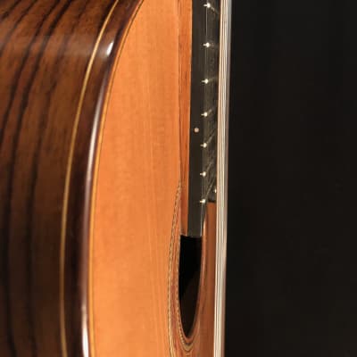 Richard Prenkert 7-String Guitar #401 2019 image 8