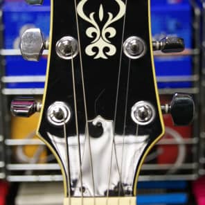 Ibanez AR250 ちょい改造 Ibanez AR250 ちょい改造 Ibanez AR250 ちょい改造