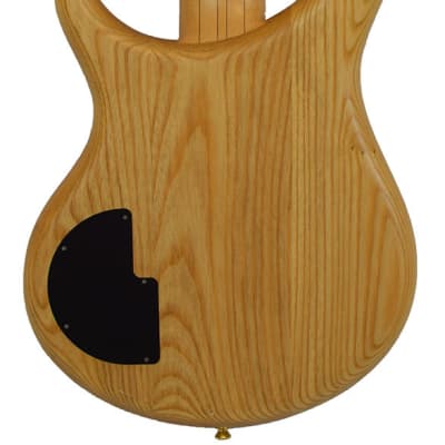 Alembic Excel 5 Quilted Maple - SHOWROOM image 4