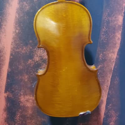 Carlo Robelli CR-209 Violin (San Antonio, TX) image 5