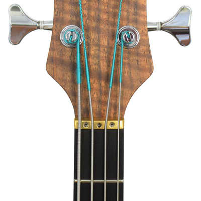 Alembic Brown Bass image 5
